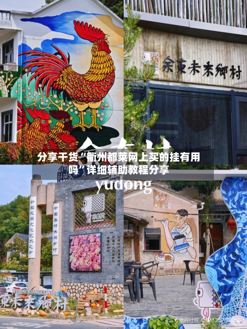 分享干货“衢州都莱网上买的挂有用吗”详细辅助教程分享-第2张图片