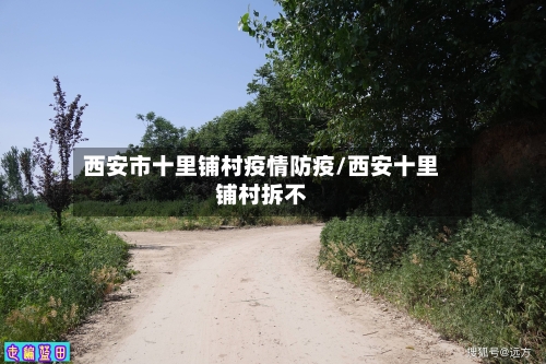 西安市十里铺村疫情防疫/西安十里铺村拆不-第2张图片