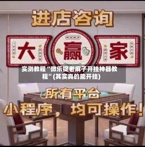实测教程“微乐捉老麻子开挂神器教程”(其实真的能开挂)-第2张图片
