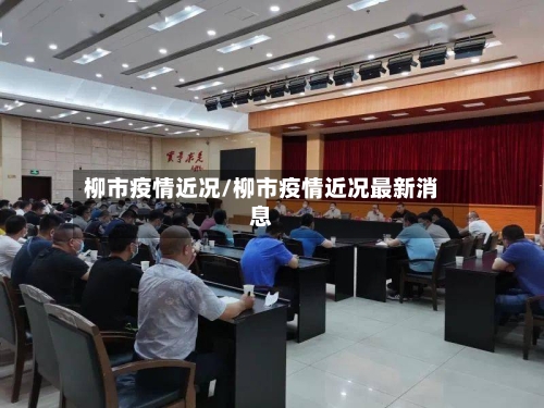 柳市疫情近况/柳市疫情近况最新消息-第2张图片