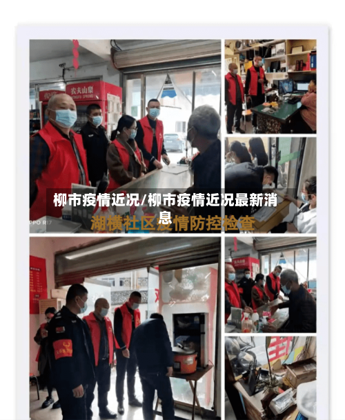 柳市疫情近况/柳市疫情近况最新消息-第3张图片