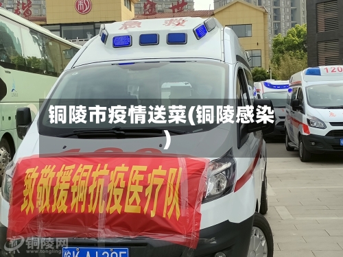 铜陵市疫情送菜(铜陵感染)-第1张图片