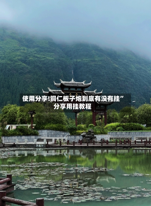 使用分享!铜仁板子炮到底有没有挂”分享用挂教程-第1张图片