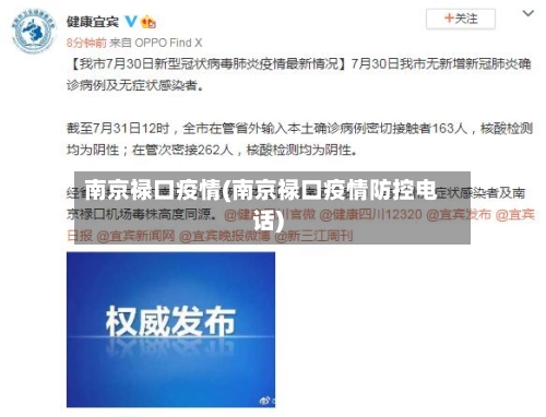 南京禄口疫情(南京禄口疫情防控电话)-第2张图片