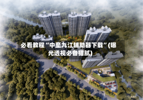 必看教程“中至九江辅助器下载”(曝光透视必备猫腻)-第1张图片