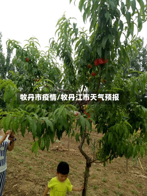 牧丹市疫情/牧丹江市天气预报-第3张图片