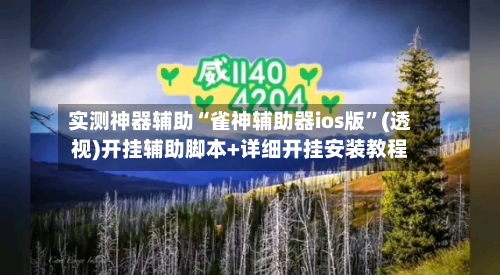 实测神器辅助“雀神辅助器ios版”(透视)开挂辅助脚本+详细开挂安装教程-第1张图片