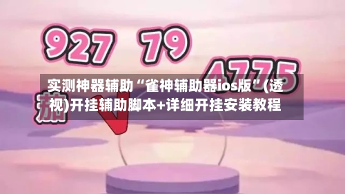 实测神器辅助“雀神辅助器ios版”(透视)开挂辅助脚本+详细开挂安装教程-第3张图片