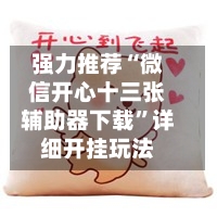 强力推荐“微信开心十三张辅助器下载”详细开挂玩法-第3张图片