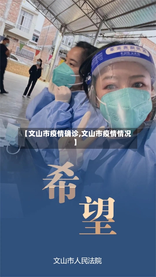 【文山市疫情确诊,文山市疫情情况】-第2张图片