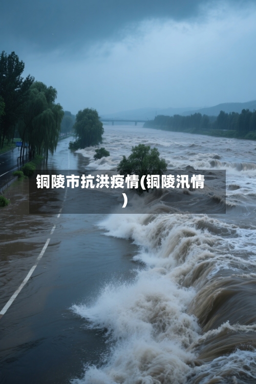 铜陵市抗洪疫情(铜陵汛情)-第1张图片