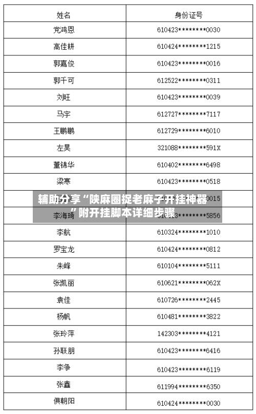 辅助分享“陕麻圈捉老麻子开挂神器	”附开挂脚本详细步骤-第2张图片