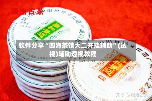 软件分享“四海茶馆大二开挂辅助”(透视)辅助透视教程-第3张图片