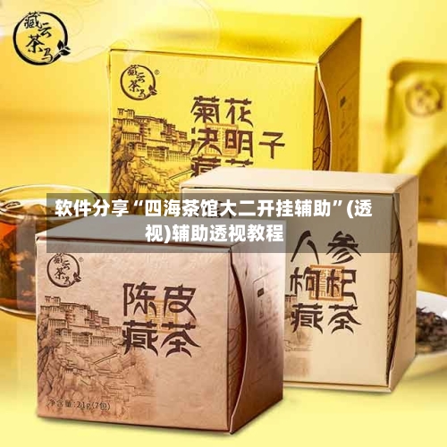 软件分享“四海茶馆大二开挂辅助”(透视)辅助透视教程-第1张图片