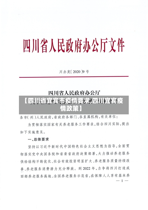 【四川省宜宾市疫情要求,四川宜宾疫情政策】-第1张图片