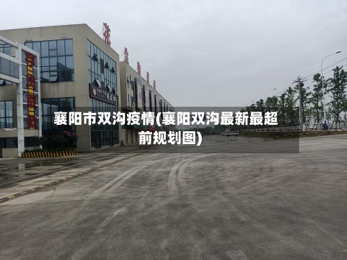 襄阳市双沟疫情(襄阳双沟最新最超前规划图)-第2张图片