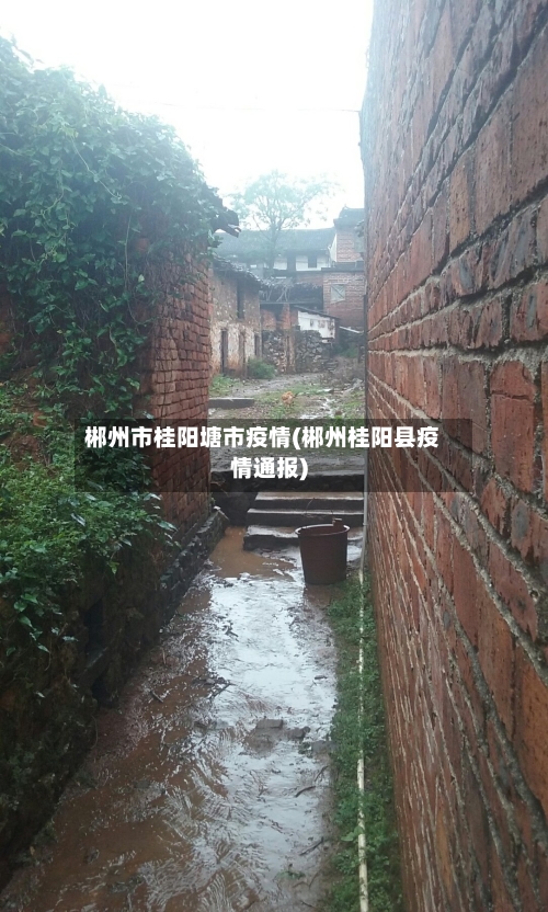 郴州市桂阳塘市疫情(郴州桂阳县疫情通报)-第2张图片