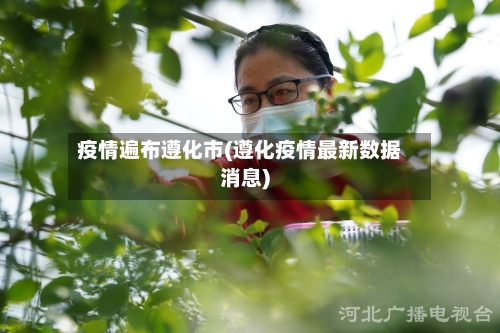 疫情遍布遵化市(遵化疫情最新数据消息)-第2张图片