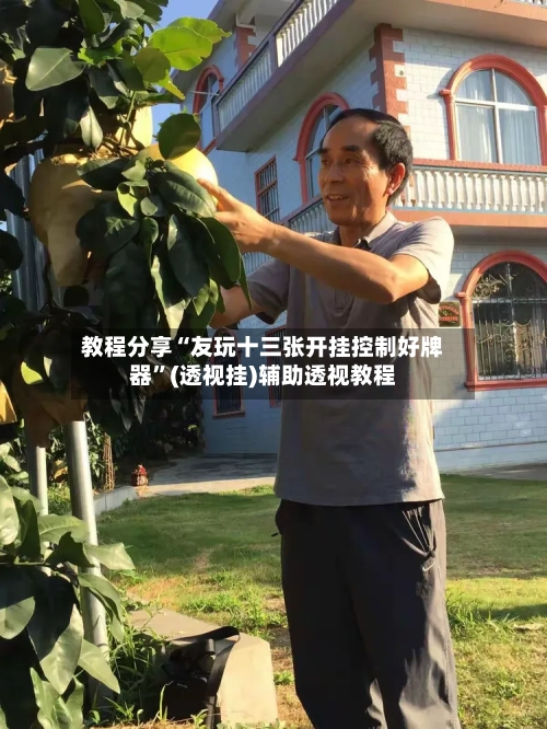 教程分享“友玩十三张开挂控制好牌器	”(透视挂)辅助透视教程-第1张图片