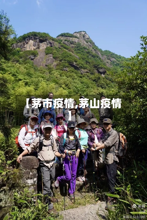 【茅市疫情,茅山疫情】-第2张图片