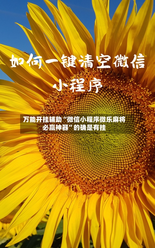 万能开挂辅助“微信小程序微乐麻将必赢神器”的确是有挂-第2张图片