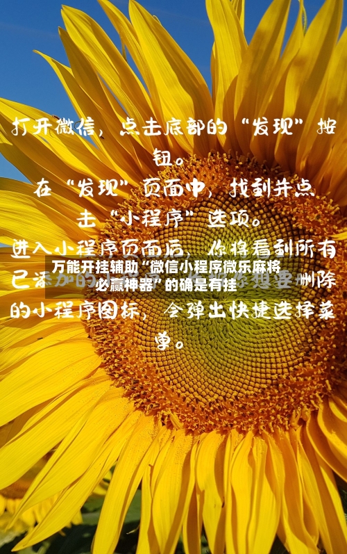 万能开挂辅助“微信小程序微乐麻将必赢神器	”的确是有挂-第1张图片