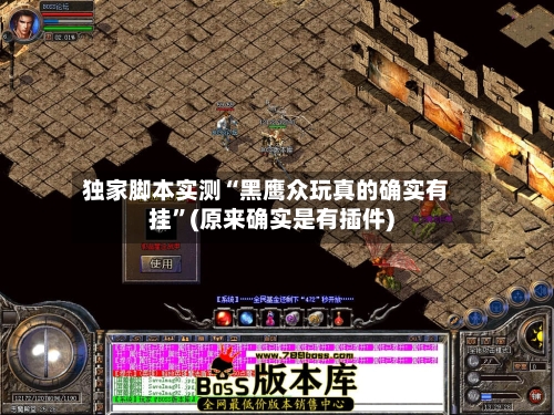 独家脚本实测“黑鹰众玩真的确实有挂	”(原来确实是有插件)-第2张图片