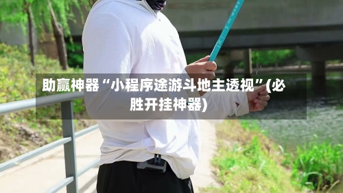 助赢神器“小程序途游斗地主透视”(必胜开挂神器)-第2张图片