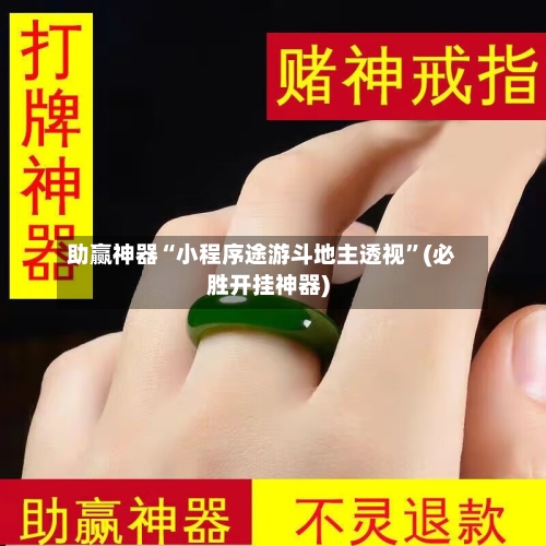 助赢神器“小程序途游斗地主透视”(必胜开挂神器)-第1张图片