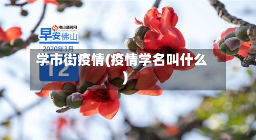 学市街疫情(疫情学名叫什么)-第1张图片