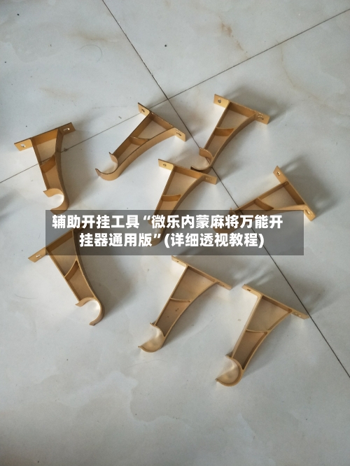 辅助开挂工具“微乐内蒙麻将万能开挂器通用版	”(详细透视教程)-第1张图片