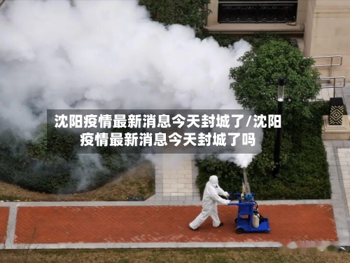 沈阳疫情最新消息今天封城了/沈阳疫情最新消息今天封城了吗-第2张图片