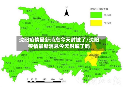 沈阳疫情最新消息今天封城了/沈阳疫情最新消息今天封城了吗-第3张图片