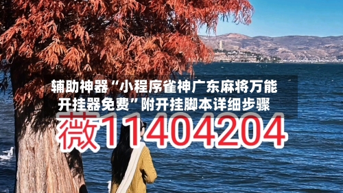 辅助神器“小程序雀神广东麻将万能开挂器免费	”附开挂脚本详细步骤-第2张图片