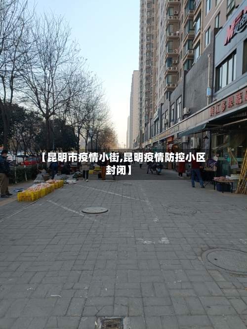 【昆明市疫情小街,昆明疫情防控小区封闭】-第2张图片