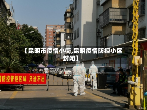 【昆明市疫情小街,昆明疫情防控小区封闭】-第3张图片