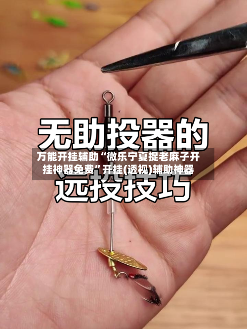 万能开挂辅助“微乐宁夏捉老麻子开挂神器免费”开挂(透视)辅助神器-第1张图片
