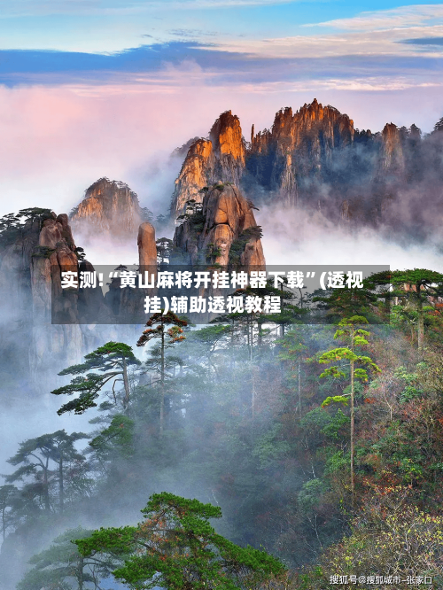 实测!“黄山麻将开挂神器下载”(透视挂)辅助透视教程-第2张图片