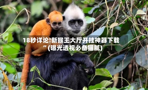 18秒详论!新猴王大厅开挂神器下载”(曝光透视必备猫腻)-第2张图片