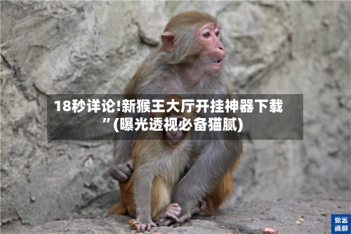 18秒详论!新猴王大厅开挂神器下载	”(曝光透视必备猫腻)-第1张图片