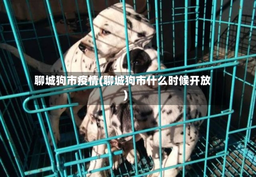聊城狗市疫情(聊城狗市什么时候开放)-第1张图片