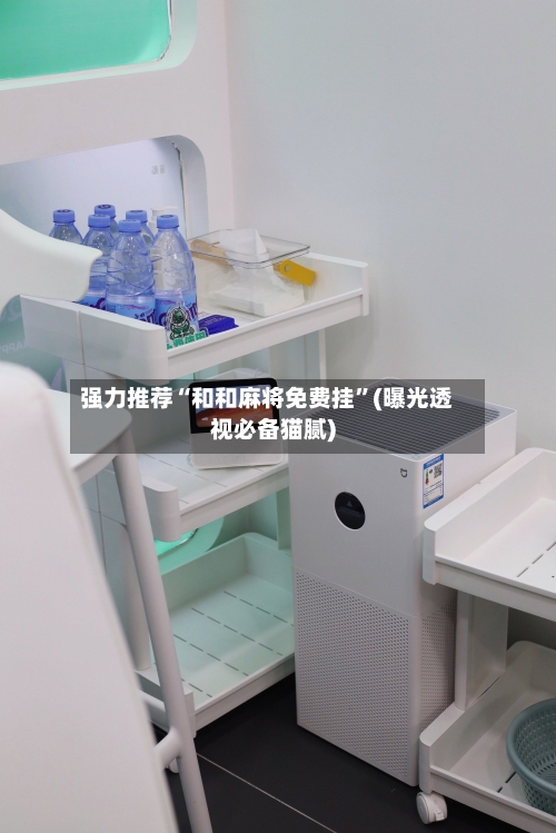 强力推荐“和和麻将免费挂”(曝光透视必备猫腻)-第1张图片