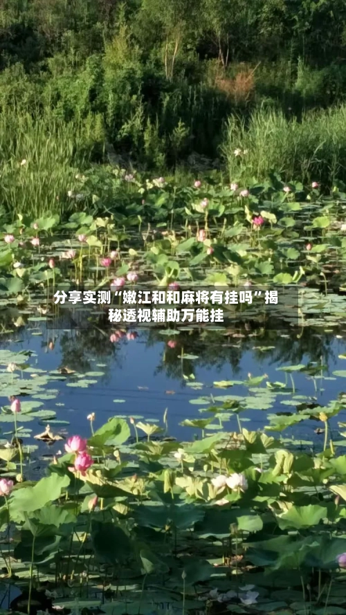 分享实测“嫩江和和麻将有挂吗	”揭秘透视辅助万能挂-第1张图片