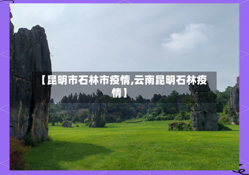 【昆明市石林市疫情,云南昆明石林疫情】-第2张图片