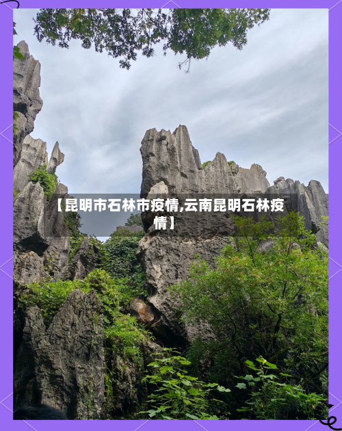【昆明市石林市疫情,云南昆明石林疫情】-第1张图片