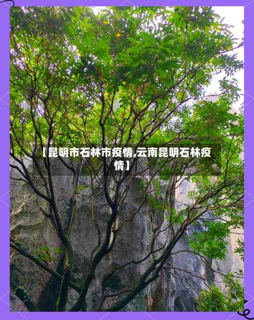 【昆明市石林市疫情,云南昆明石林疫情】-第3张图片