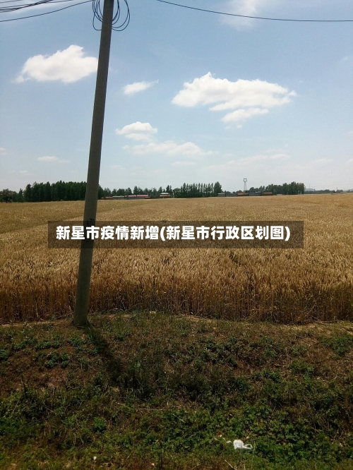 新星市疫情新增(新星市行政区划图)-第2张图片