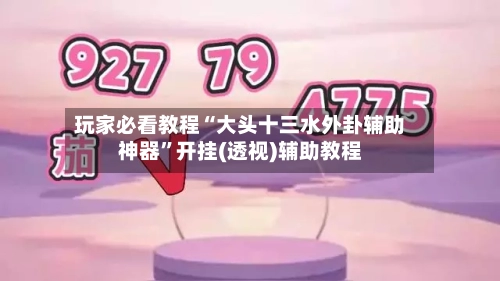 玩家必看教程“大头十三水外卦辅助神器	”开挂(透视)辅助教程-第1张图片