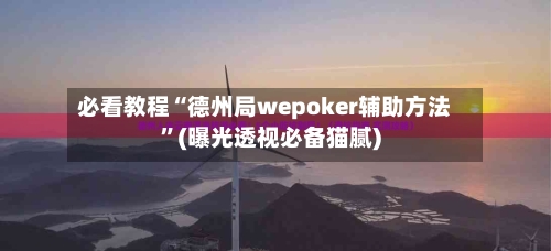 必看教程“德州局wepoker辅助方法”(曝光透视必备猫腻)-第2张图片