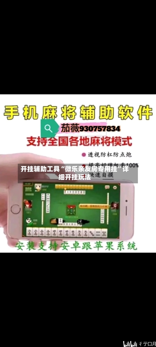 开挂辅助工具“微乐亲友房专用挂	”详细开挂玩法-第2张图片